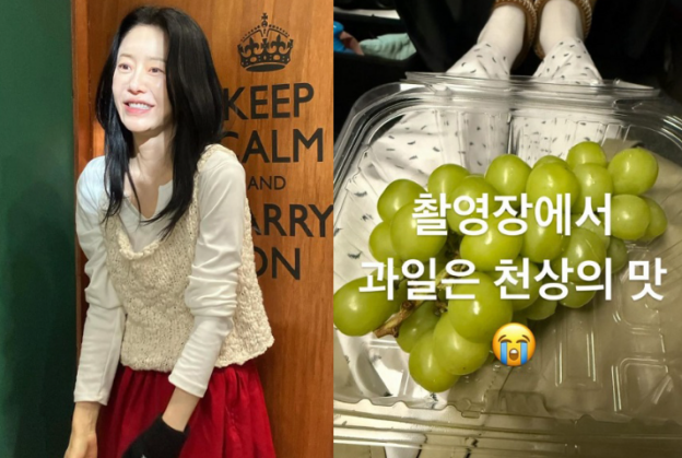 고현정 이 과일 천상의 맛 이라지만 많이 먹으면 안 되는 이유는?